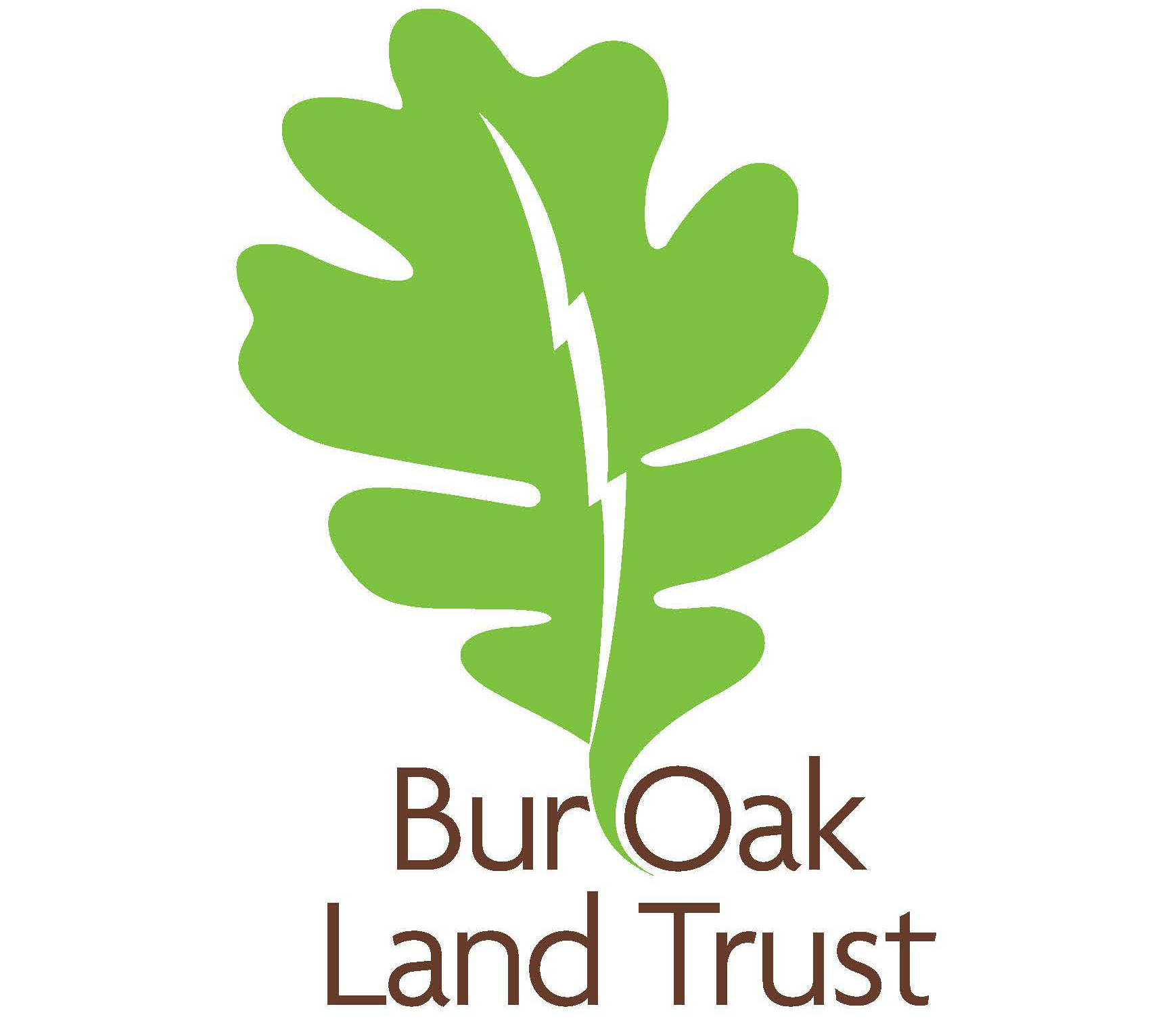 Oak перевод на русский. Bur shop логотип. Trustland. Burr Oak logo. Burr Oak logo 1920 1080.